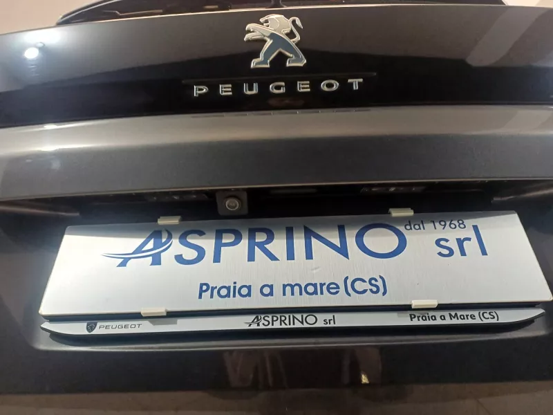 PEUGEOT 3008  BLUEHDI EAT8 ACTIVE BUSINESS -1192