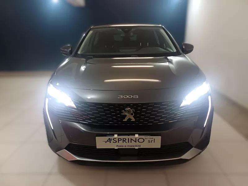 PEUGEOT 3008  BLUEHDI EAT8 ACTIVE BUSINESS -1183