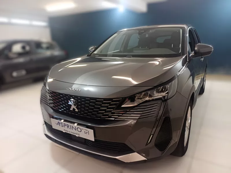 PEUGEOT 3008  BLUEHDI EAT8 ACTIVE BUSINESS -1184