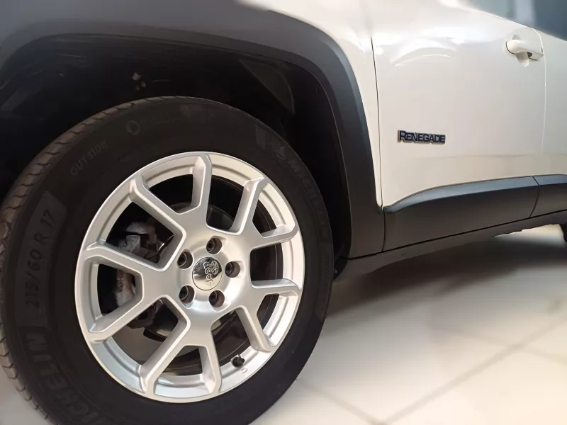 Jeep Renegade 1.6 Mjet Limited  130 CV -1102
