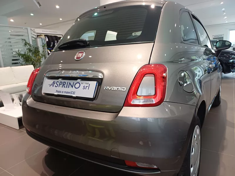 fiat 500 grigio-1006