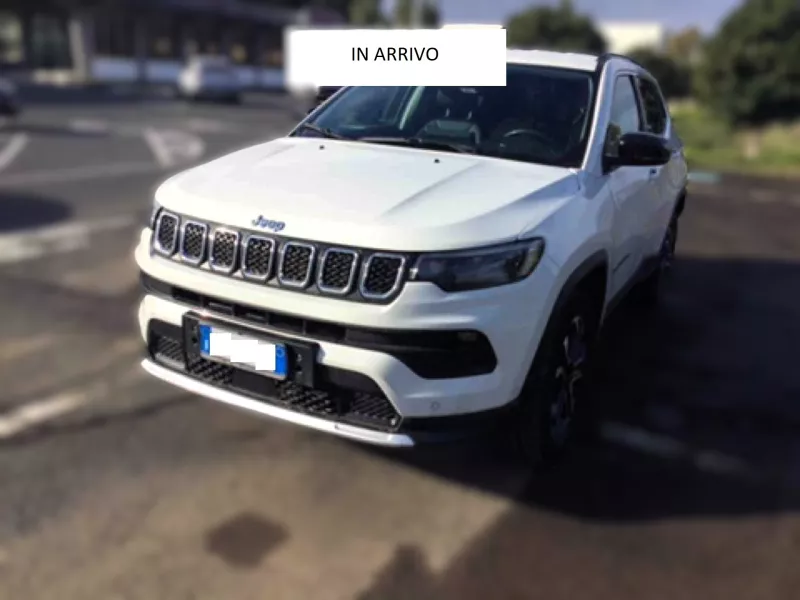 JEEP COMPASS ALPINE WHITE-1257