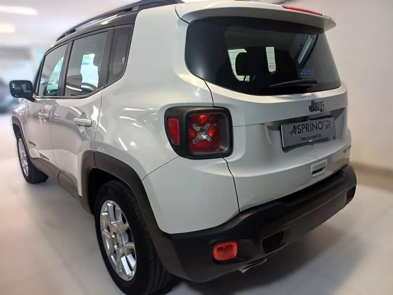 RENEGADE BIANCO-1261