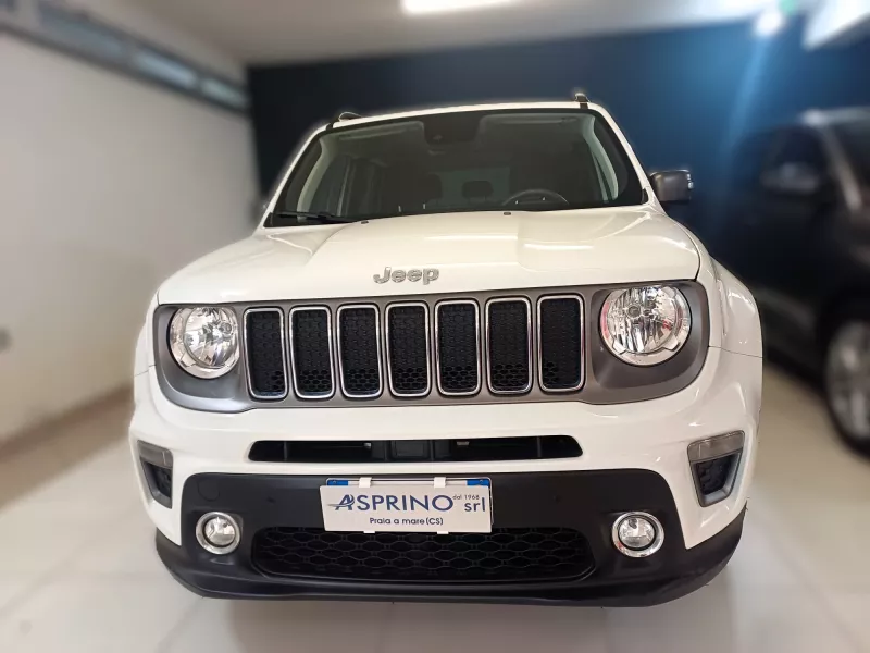 RENEGADE BIANCO-1258