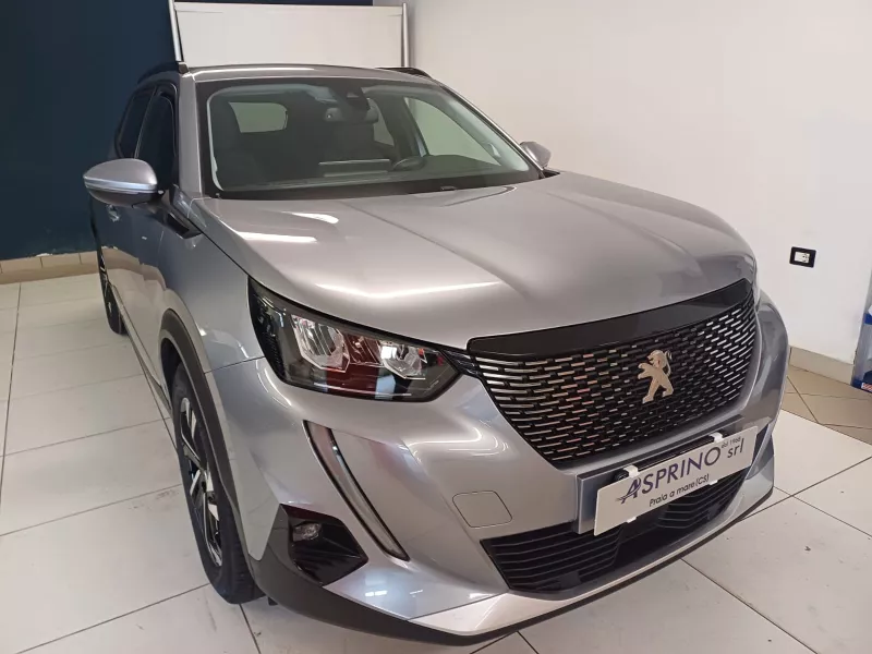 Peugeot 2008 Bluehdi 110 CV Allure  Pack -251