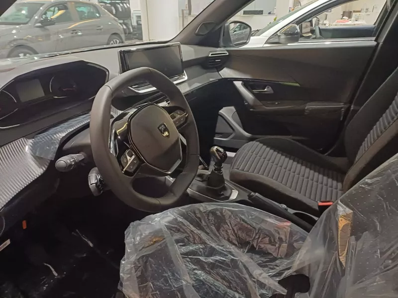 Peugeot Nuovo 2008 Active Pure tech 100 S&S -289