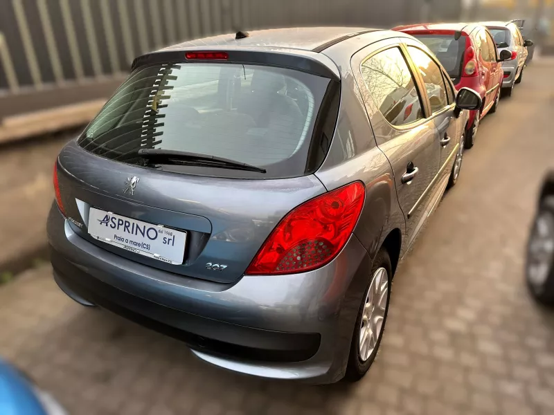PEUGEOT 207-1318