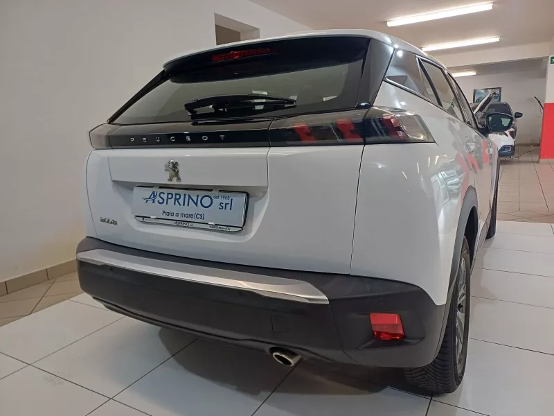 Peugeot 2008 Active Pack BLUE HDI 110 cv-403