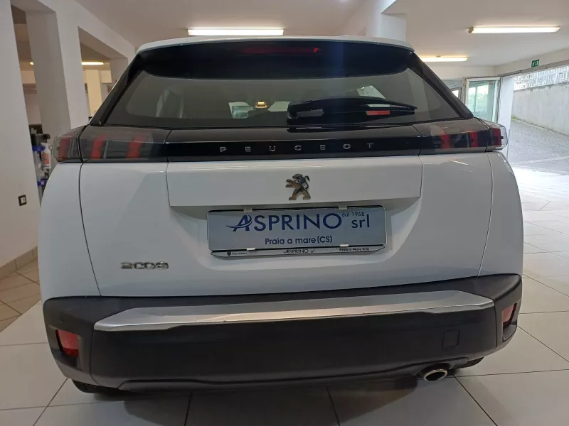Peugeot 2008 Active Pack BLUE HDI 110 cv-402