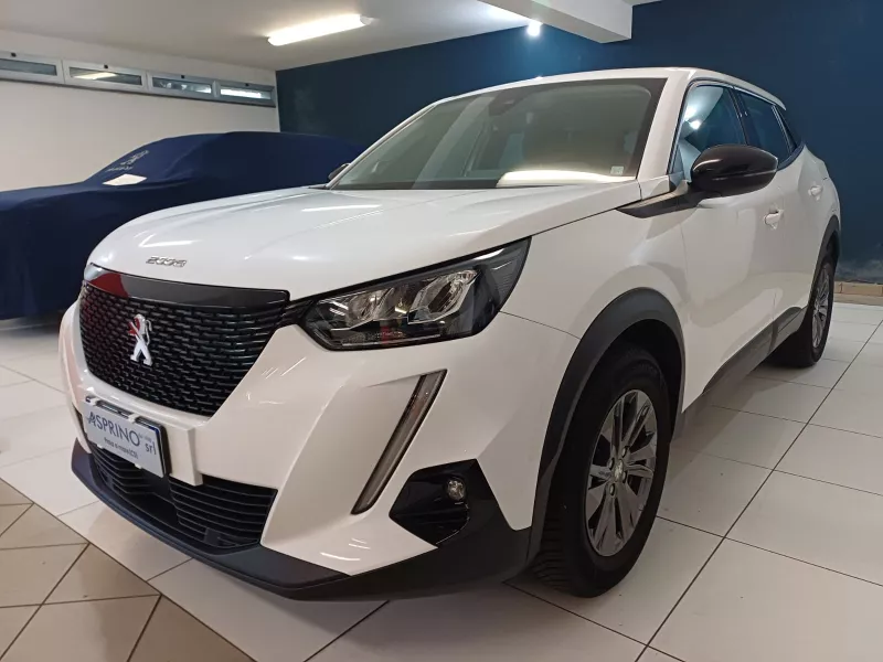 Peugeot 2008 Active Pack BLUE HDI 110 cv-400
