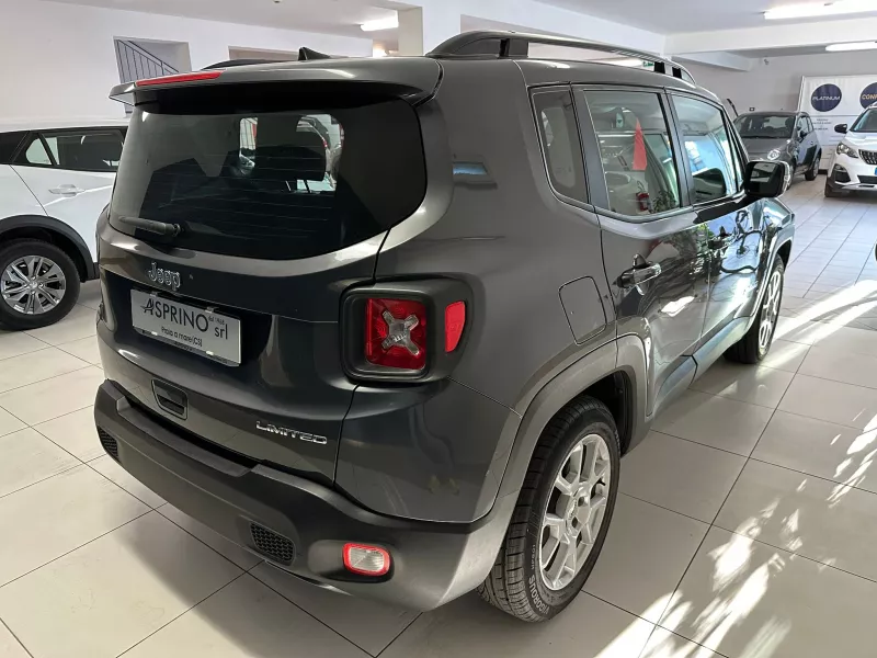 Jeep Renegade-440